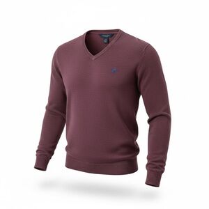 American Eagle Outfitters Mens Cotton V-Neck Sweater, Deep Wine /Burgundy Lg